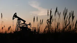 Нефтегазовый сектор в России снова сократил свою долю в ВВП, а доходы бюджета от нефти и газа за год снизились почти на четверть. Санкции, ограничения добычи и слабые инвестиции усиливают долгосрочную тенденцию к медленному снижению добычи.