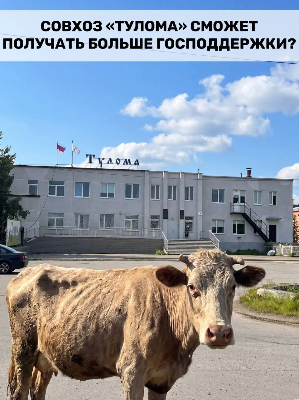 Минсельхоз расширил критерии субсидирования: право на федеральную помощь теперь имеют и хозяйства, где более четверти собственности принадлежит государству или муниципалитету. Для Мурманской области это важно, но состояние отдельных предприятий и сроки выплаты помощи вызывают опасения.