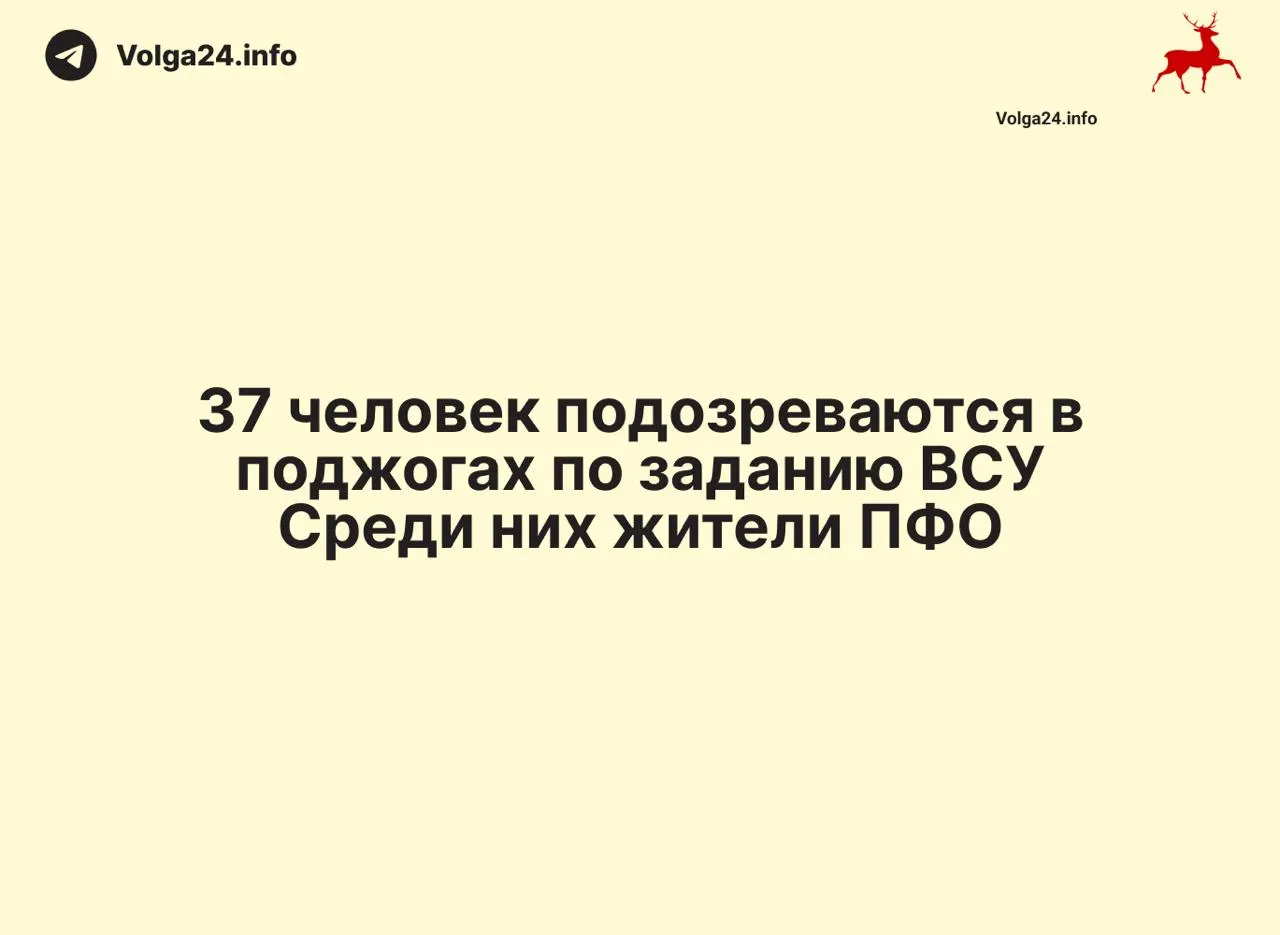 Операции прошли в Москве, Санкт‑Петербурге и регионах Поволжья; изъяли свыше 50 сим‑боксов и около 8 тысяч SIM‑карт, возбуждено уголовное дело по новым статьям УК РФ.