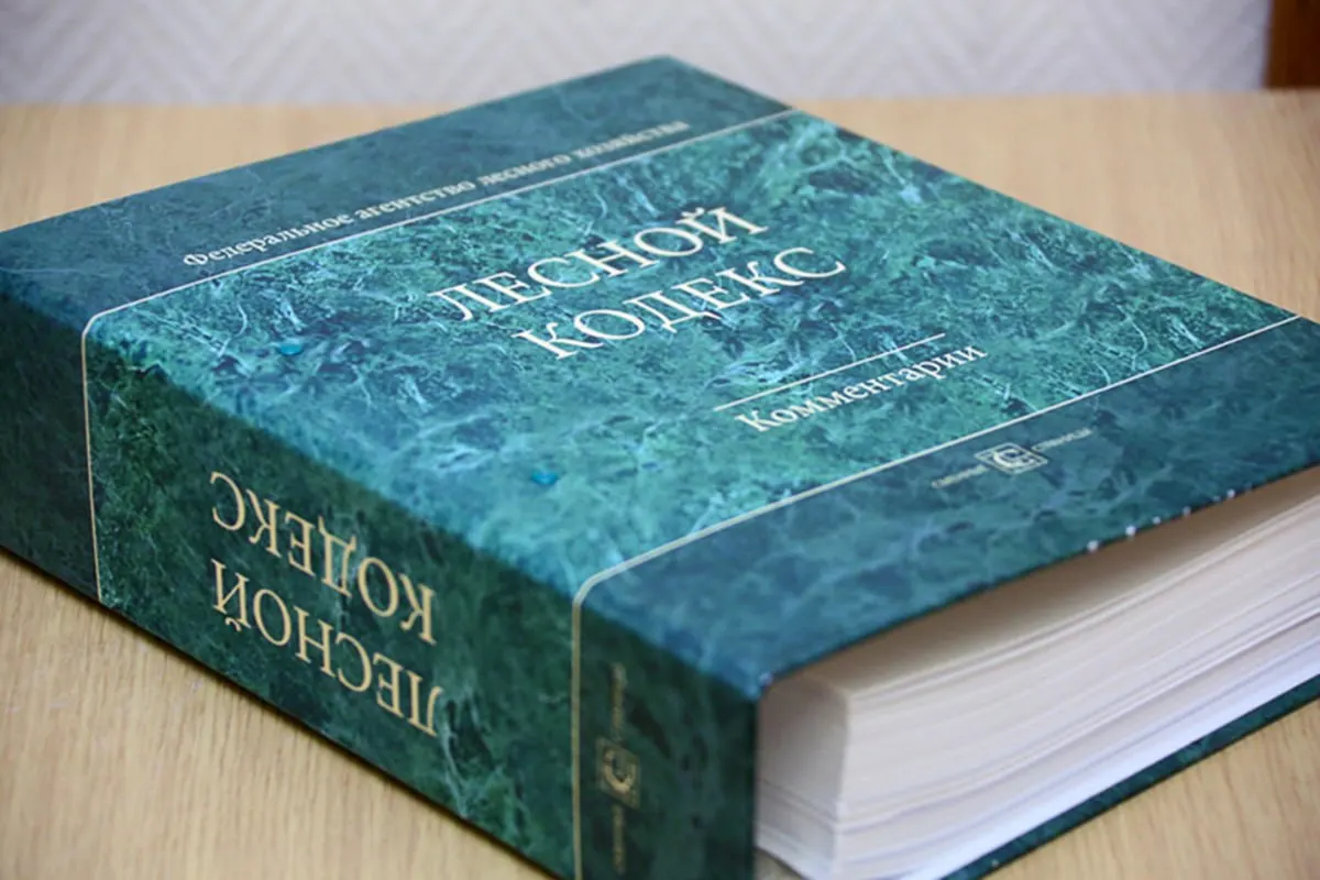 По словам эксперта по лесному хозяйству, Лесной кодекс 2006 года фактически стал новым документом: внесено 79 пакетов поправок, последний из которых вступит в силу в сентябре. Эксперт считает, что кодекс нужно радикально упростить и заменить.
