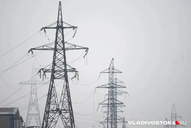 Согласно прогнозу Минэкономразвития, с октября 2026 года начнётся поэтапное повышение тарифов для жителей Приморского края: к 2029 году тариф для городских потребителей может достигнуть примерно 8,04 руб./кВт·ч.