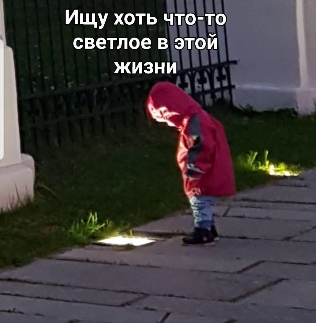 В Госдуме предупреждают о росте мошеннических схем с поддельными сайтами и соцсетями; депутаты вместе с Минэкономразвития предложили создать единый информационный портал туризма для повышения безопасности путешествий.