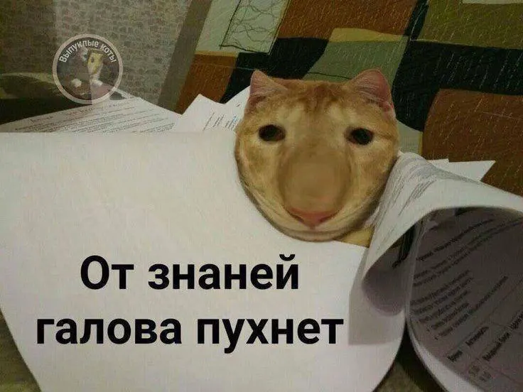 Минспорт планирует ввести тест по управлению небольшим дроном: испытание запустят в тестовом режиме в этом году, а с следующего года оно станет доступно желающим по всей стране. Значок ГТО может давать до 10 дополнительных баллов при экзаменах.