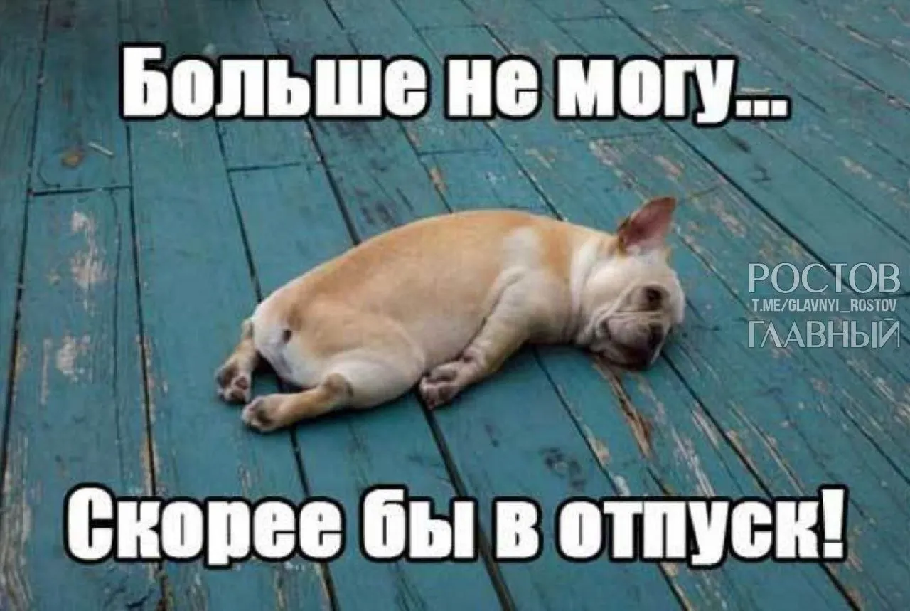 Инициатива в Госдуме предполагает повышение минимальной продолжительности отпуска с 28 до 35 дней — чтобы компенсировать выходные, включаемые в отпуск, и снизить риск выгорания.