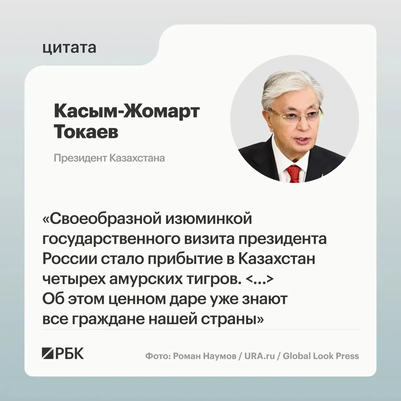 Казахстан обратился к России за помощью в восстановлении популяции амурского тигра — Москва отправила в Астану семейство животных.