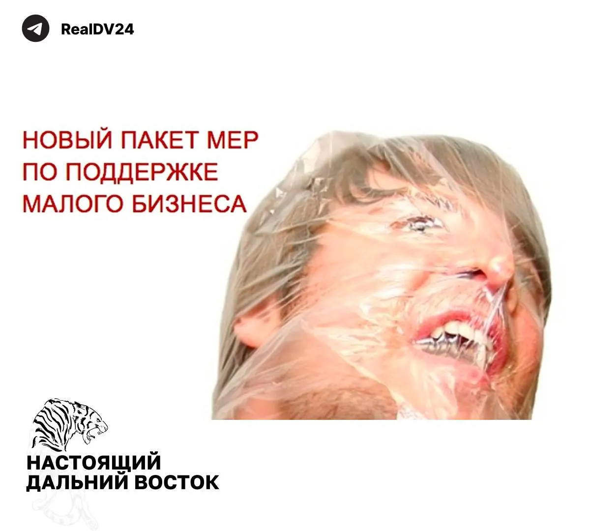 Федеральная налоговая служба направила регионам набор мер для увеличения налоговых поступлений: расширение налогооблагаемой недвижимости, повышение транспортного налога, пересмотр льгот и усиление контроля за землепользованием.