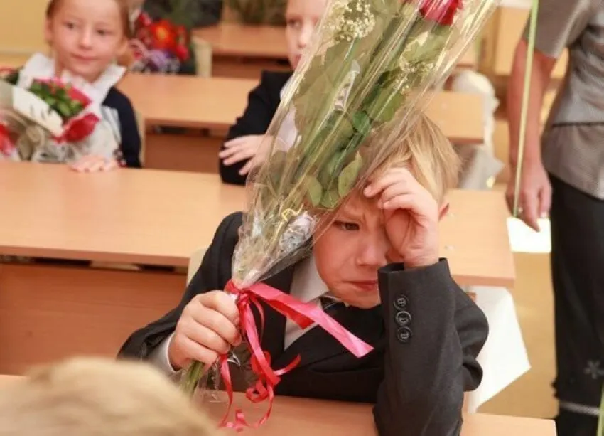 В Минпросвещения подтвердили, что оптимальной признана 11-летняя система обучения — никаких планов по её сокращению или увеличению сейчас нет; все стандарты будут внедрять с расчётом на 11 классов.