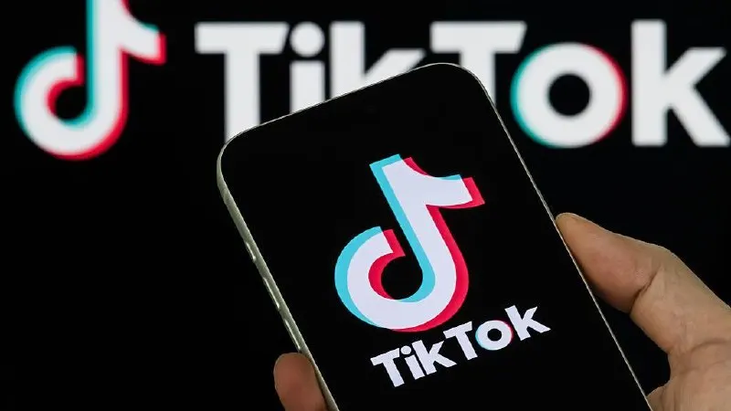 Платформу наказали за невыполнение требования удалить два ролика, в которых регуляторы усмотрели «пропаганду нетрадиционных сексуальных отношений». Звёздочка поясняет решение Верховного Суда.