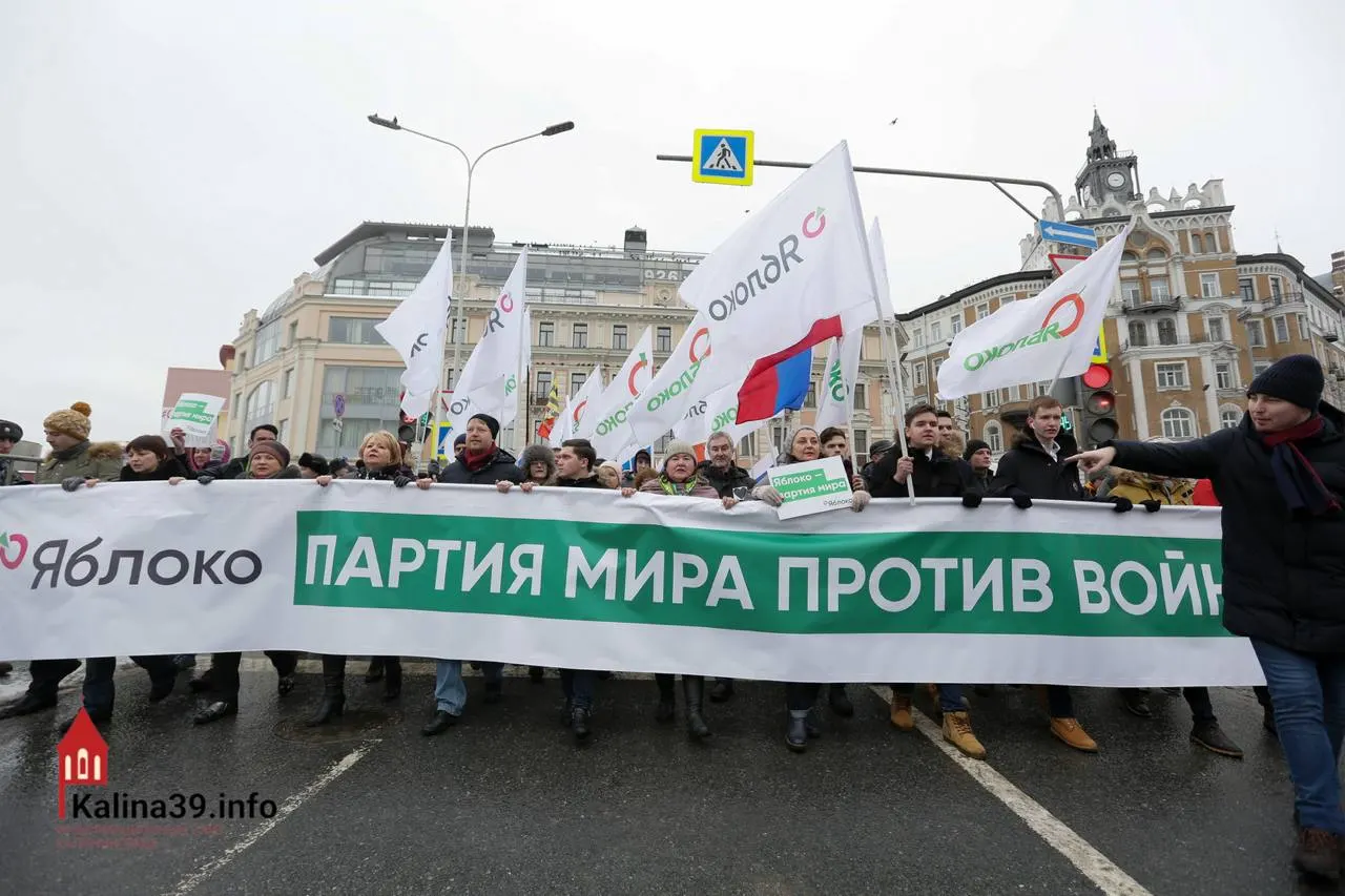 Регистрация федерального списка «Яблока» объясняется желанием направить протестные настроения в контролируемое русло — при этом многие известные политики партии не допущены к участию.