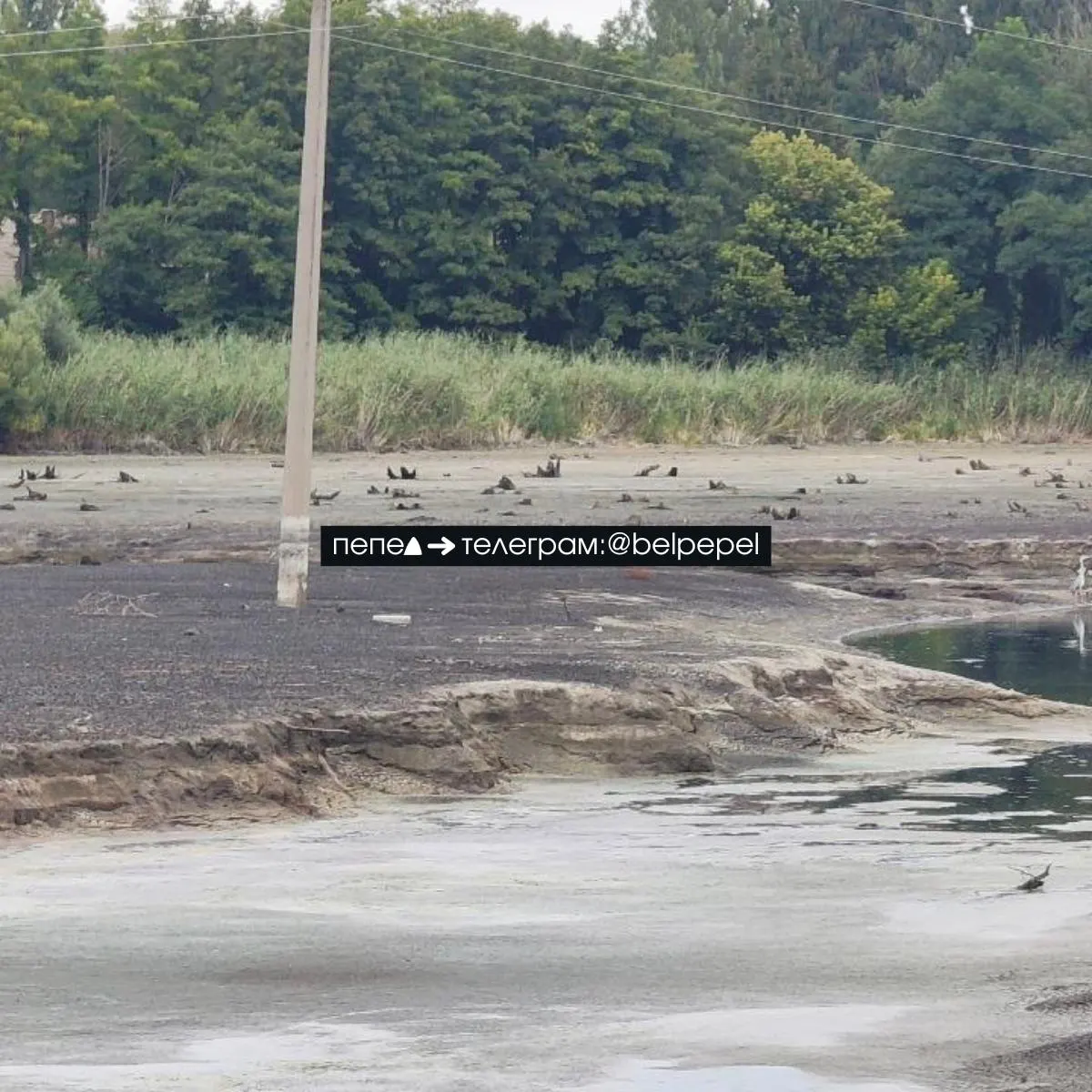 После прорыва плотины Белгородского водохранилища река Разумная обмелела — водохранилище стремительно теряет воду (по спутниковым данным до 35% за пять дней). Ниже по течению начались подтопления населённых пунктов и ухудшение состояния берегов и инфраструктуры.
