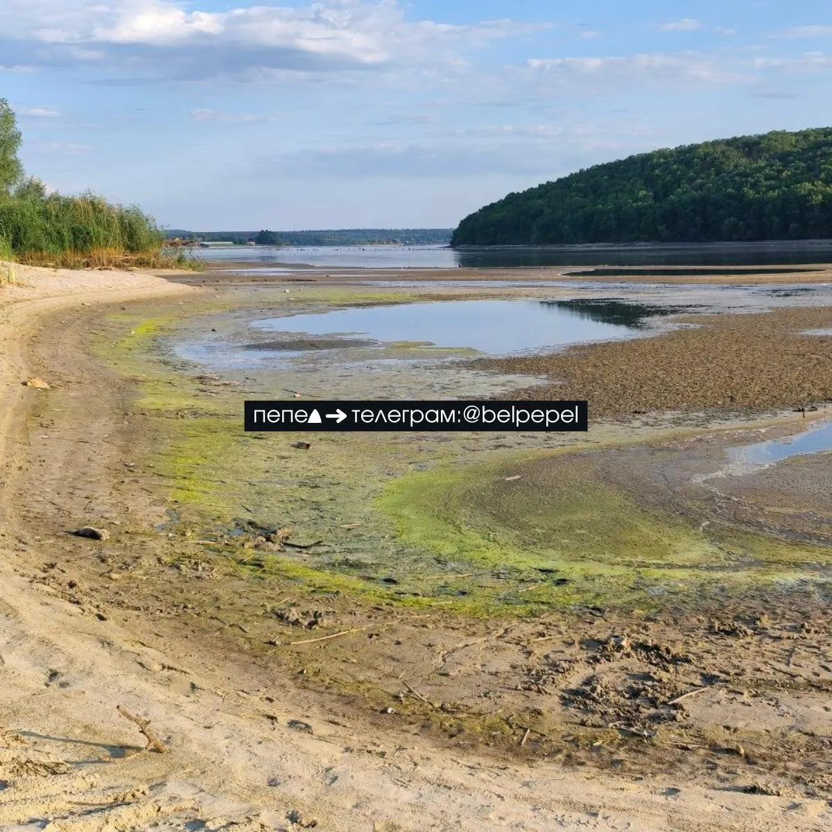 Из-за прорыва по длине водосброса Белгородское водохранилище быстро теряет воду — по спутниковым данным за пять дней ушло до 35% объёма. Вниз по течению начались подтопления, а в водоёме фиксируется массовая гибель рыбы и других обитателей.