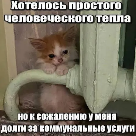 ВС подтвердил, что по долгам за капитальный ремонт действует трёхлетний срок исковой давности — после его истечения такие суммы нельзя принудительно взыскивать через коммунальные платежи.
