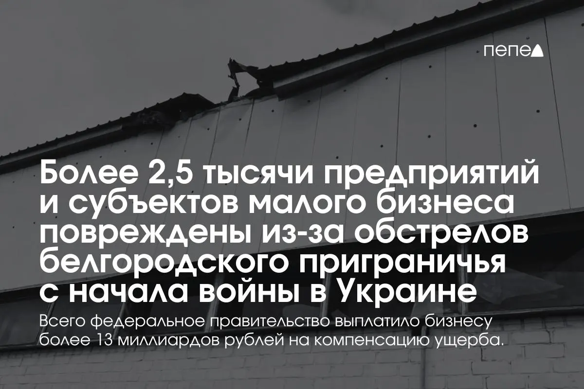 Повреждения затронули агропромышленные и промышленные сектора: 230 агропромышленных предприятий и 2328 объектов малого бизнеса. Власти рассчитывают на дополнительное федеральное финансирование и резервное электроснабжение.