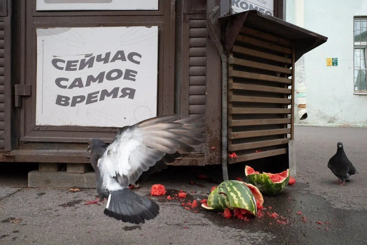 Штраф за антивоенные высказывания священника в Петербурге и Ленобласти; памятные богослужения и судебные решения. В центре внимания — политическая повестка и новости по России и миру.