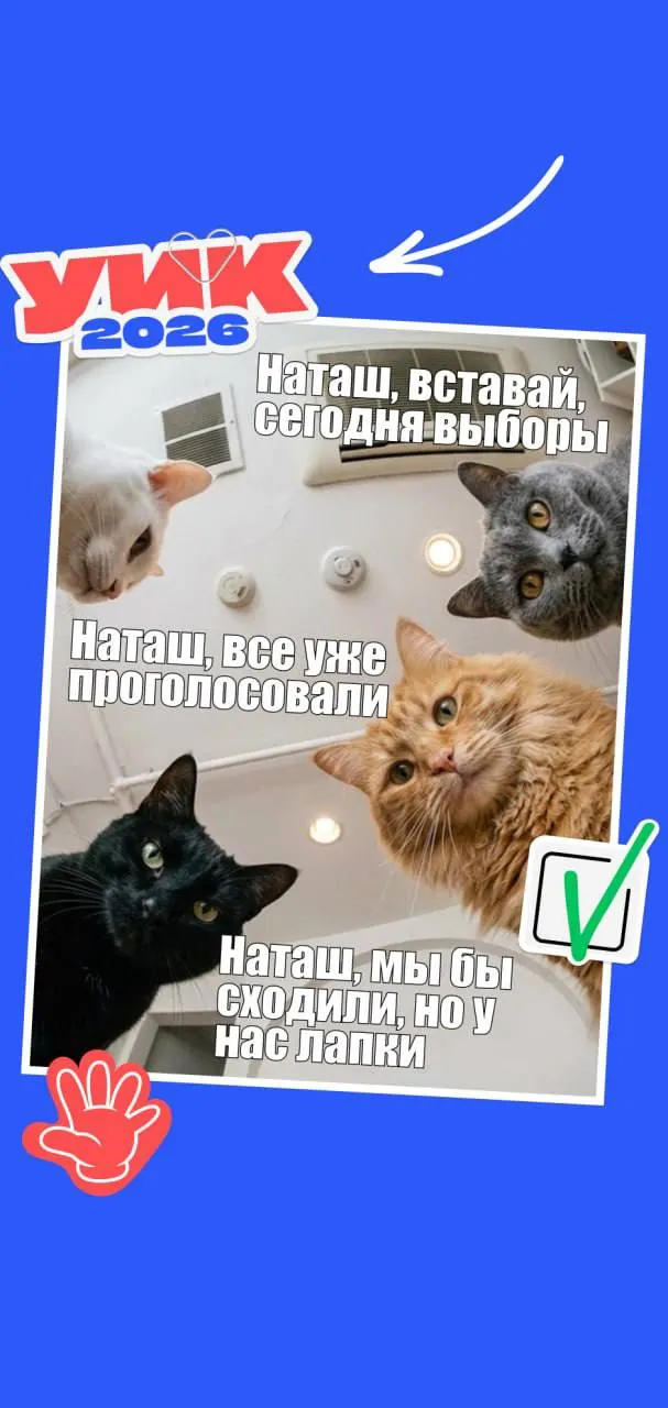 Краткая памятка: даты проведения выборов, кто может голосовать и какие документы взять с собой. В конце — подборка тематических мемов для настроения.