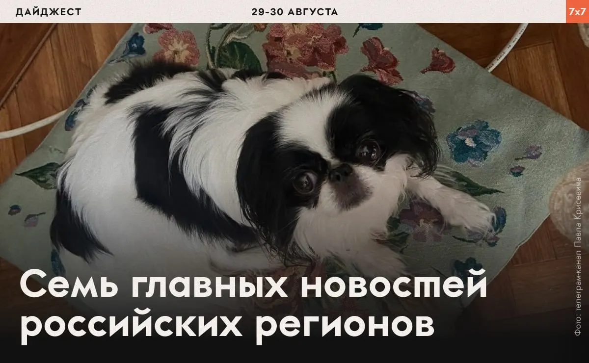 Сводка региональных новостей о правах человека, политической активности и управлении в Волгоградской области, Карелии, Ростовской области и других регионах.