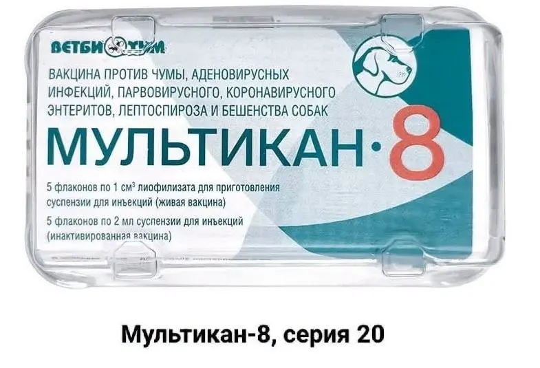 Владельцы собак требуют открытого расследования после гибели животных после вакцинации вакциной «Мультикан-8», утверждая о возможных проблемах с качеством и давлениях на лаборатории.