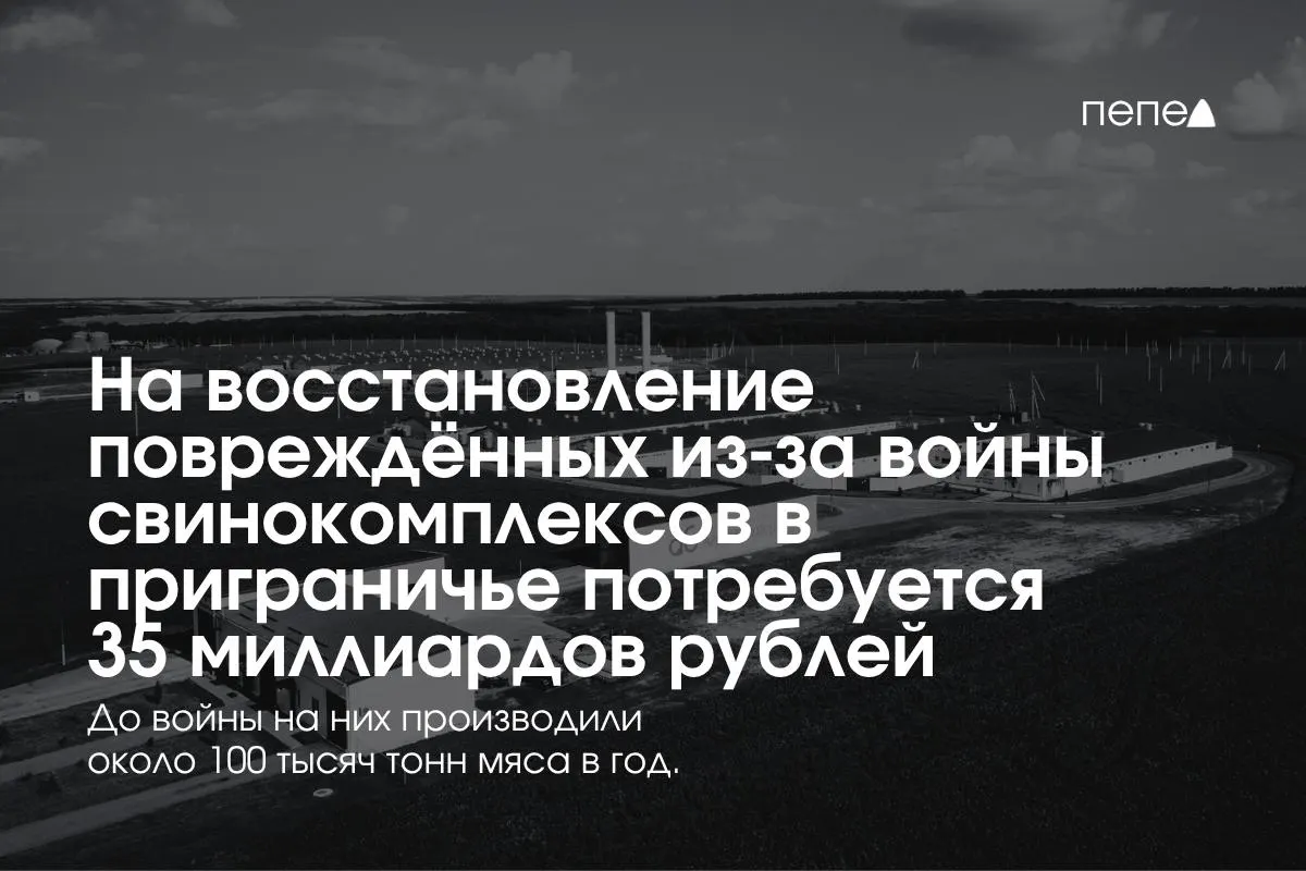 Разрушения на приграничном направлении требуют крупных вложений: планируется восстановление свинокомплексов на сумму около 35 млрд рублей; часть предприятий прекратила работу из-за обстрелов и БПЛА, что повлияло на выпуск мяса.